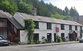 Dragon Bed And Breakfast