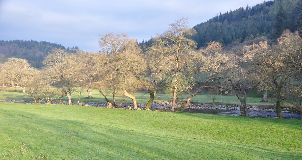 Dragon Bed And Breakfast Betws-y-Coed Extérieur photo