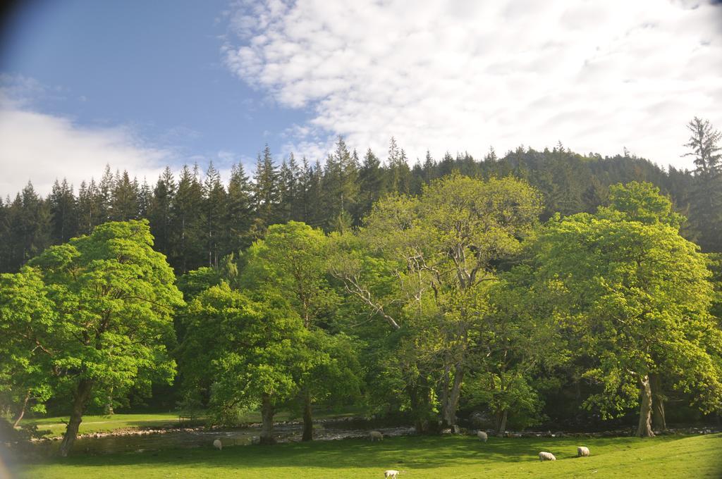 Dragon Bed And Breakfast Betws-y-Coed Extérieur photo